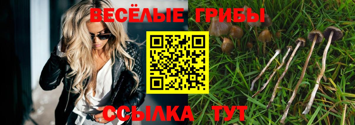 Галлюциногенные грибы Psilocybine cubensis Прокопьевск