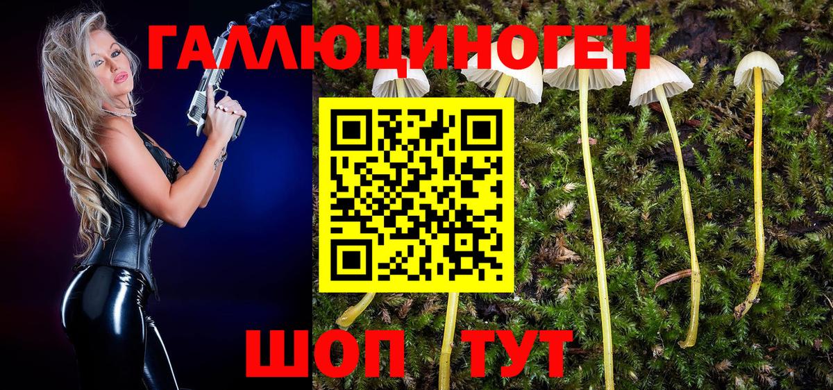 Псилоцибиновые грибы мухоморы  Вход с VPN  Прокопьевск 